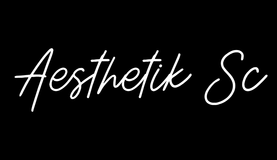 Aesthetik Script font big