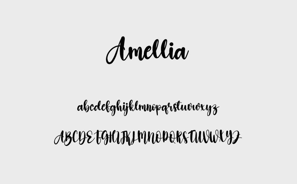 Amellia font