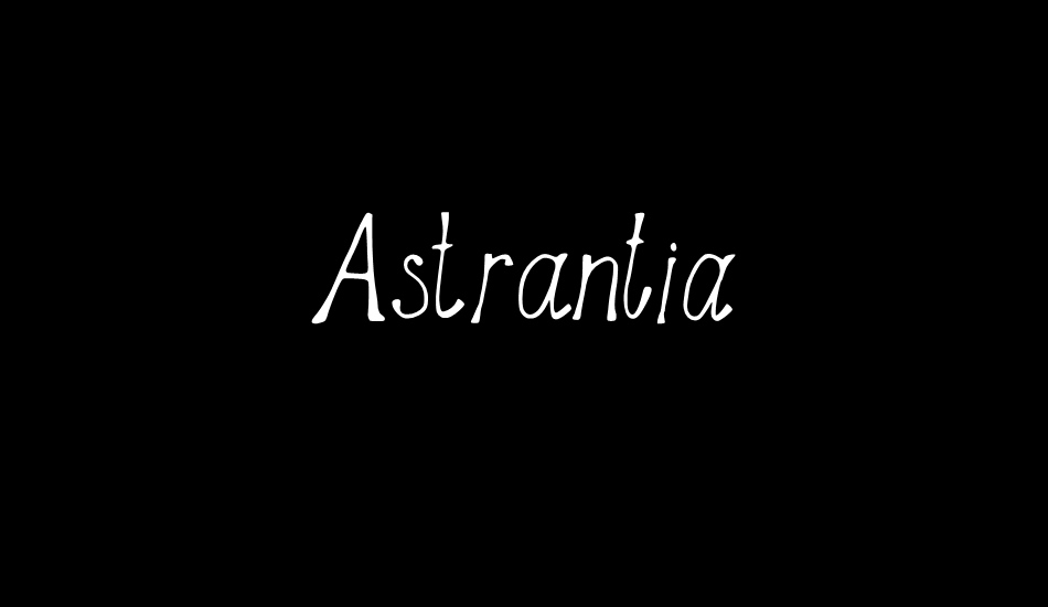 Astrantia font big