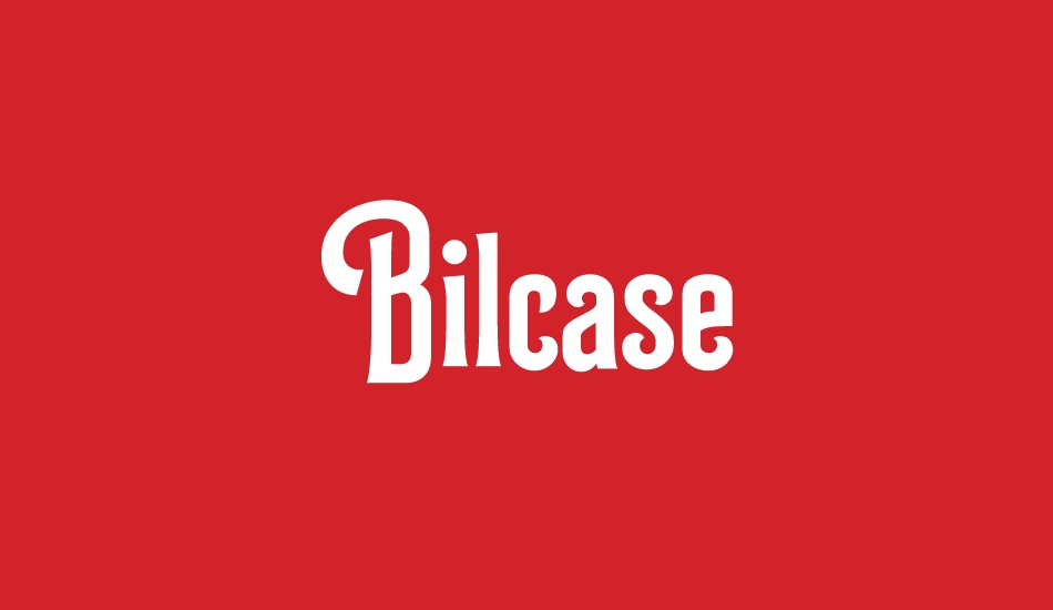 Bilcase Demo Demo font big