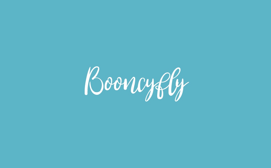 Booncyfly font big