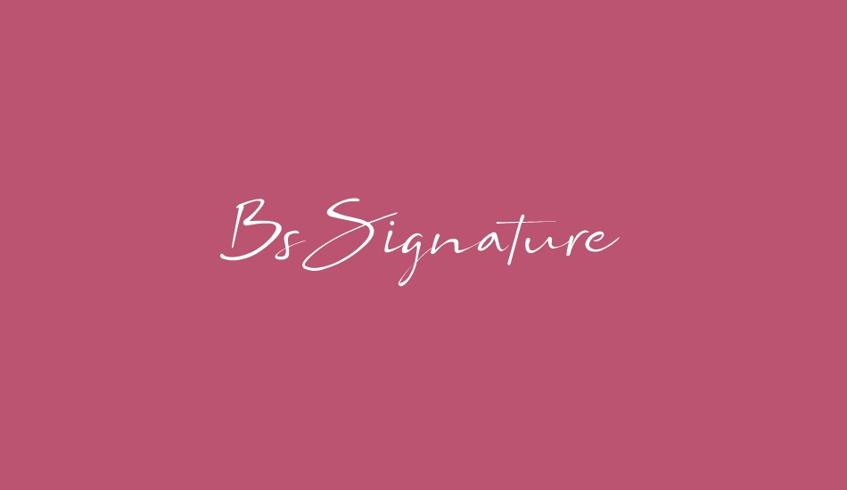 Bs Signature Demo font big