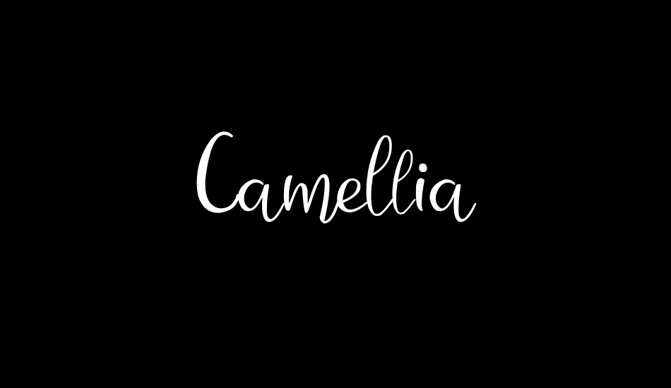 Camellia font big