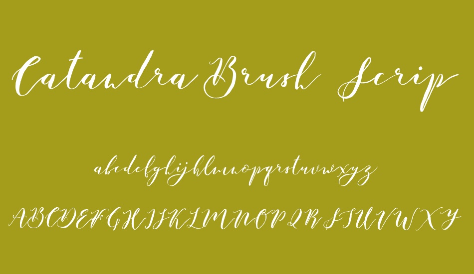 Catandra Brush Script font