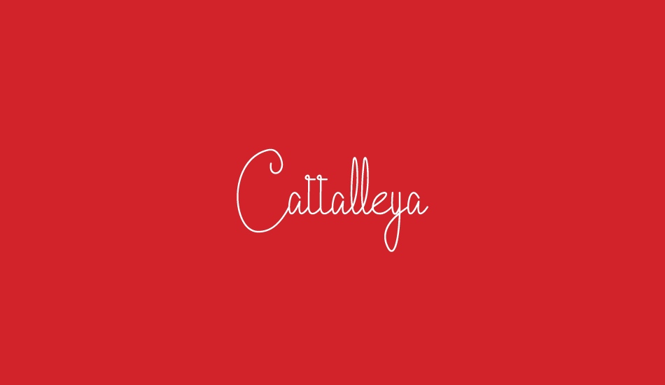 Cattalleya Demo font big