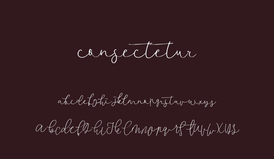 consectetur font