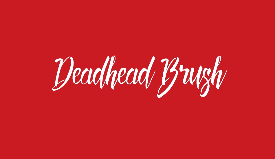 Deadhead Brush font big