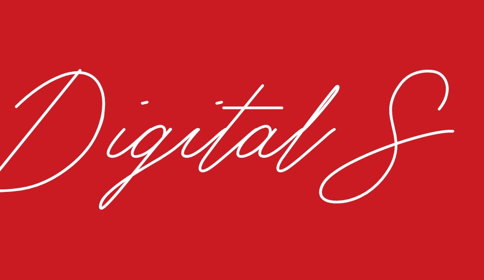 Digital Signature font big