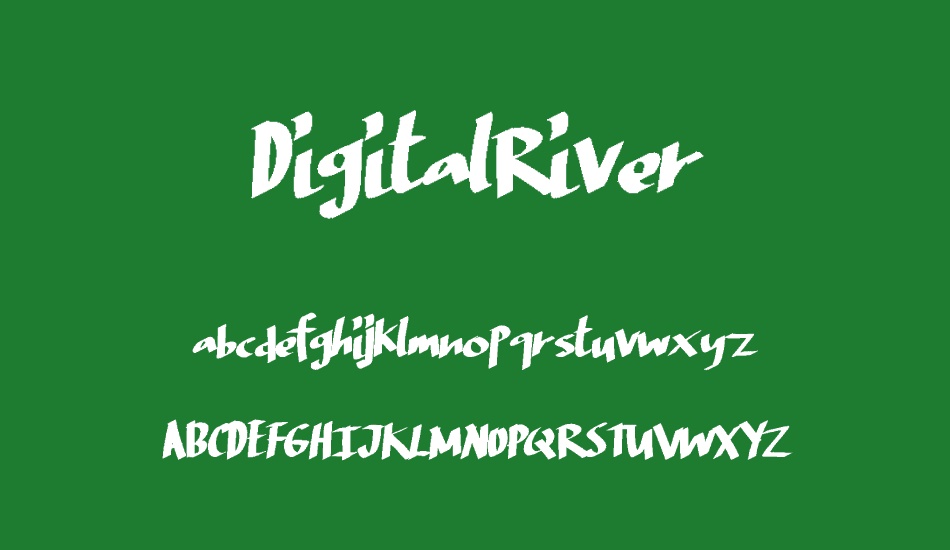 DigitalRiver font