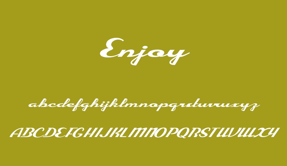 Enjoy Personal Use font