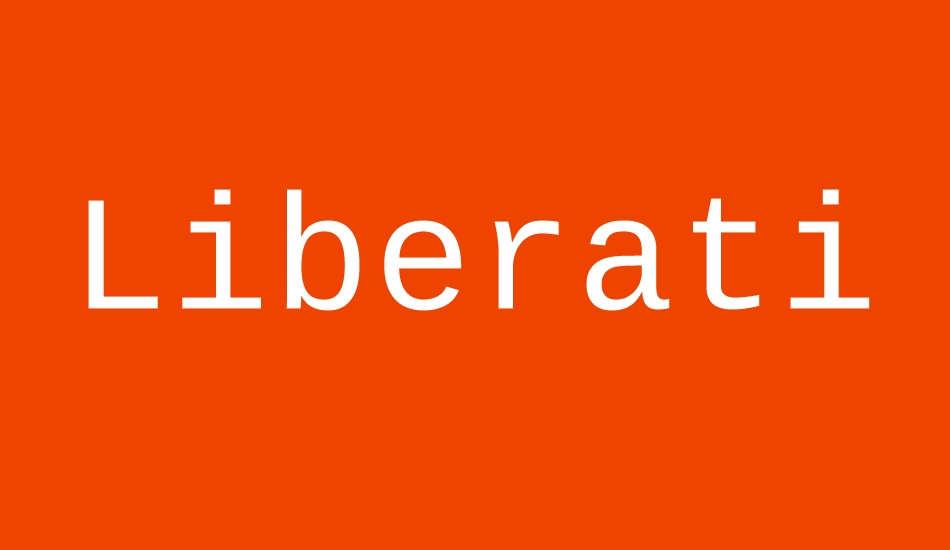 Liberation Mono font big