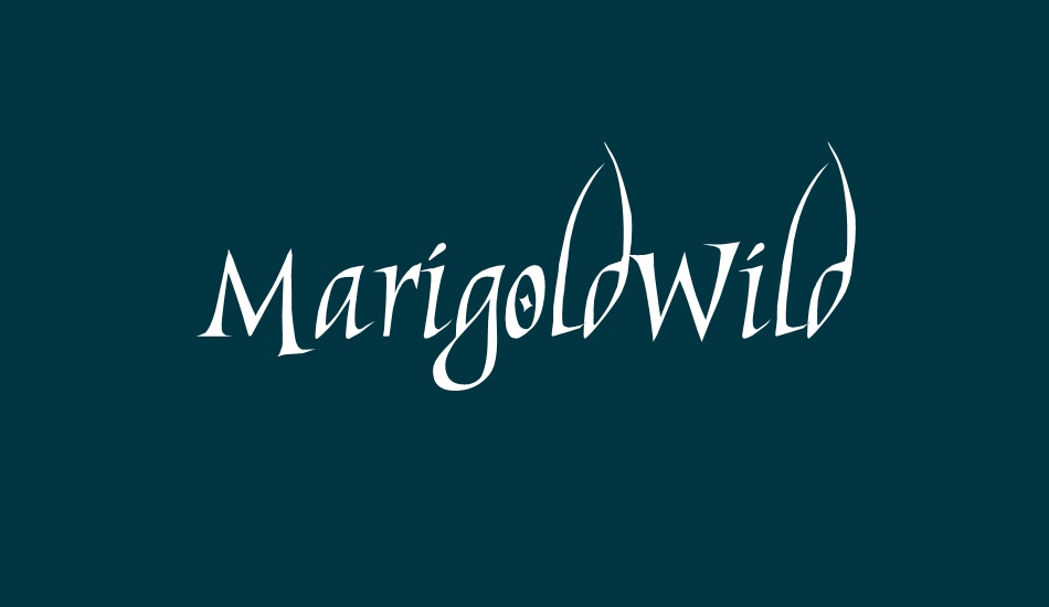 MarigoldWild font big