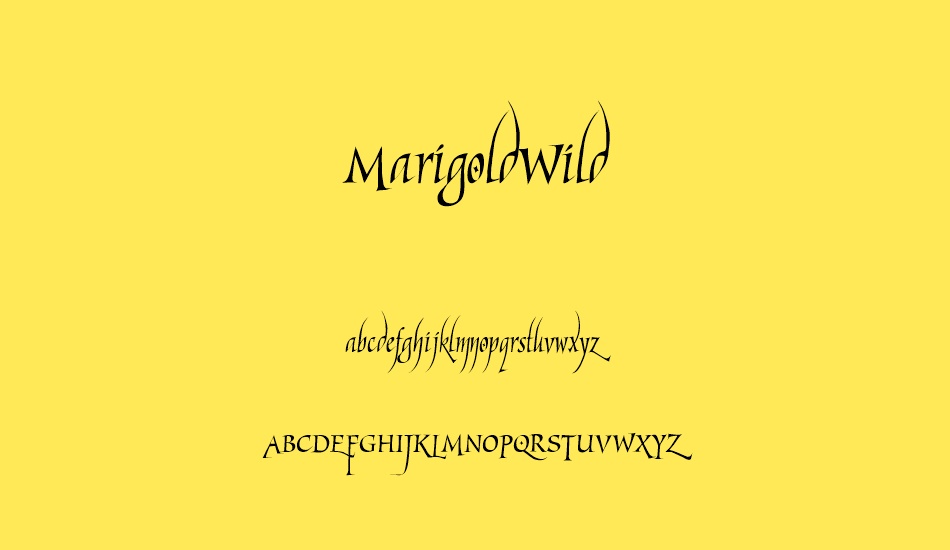 MarigoldWild font