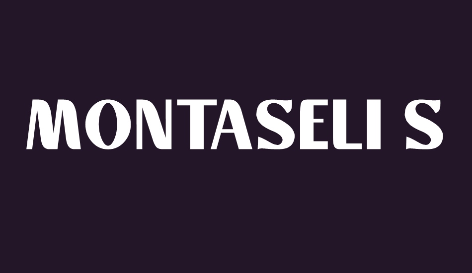 montaseli-sans font big