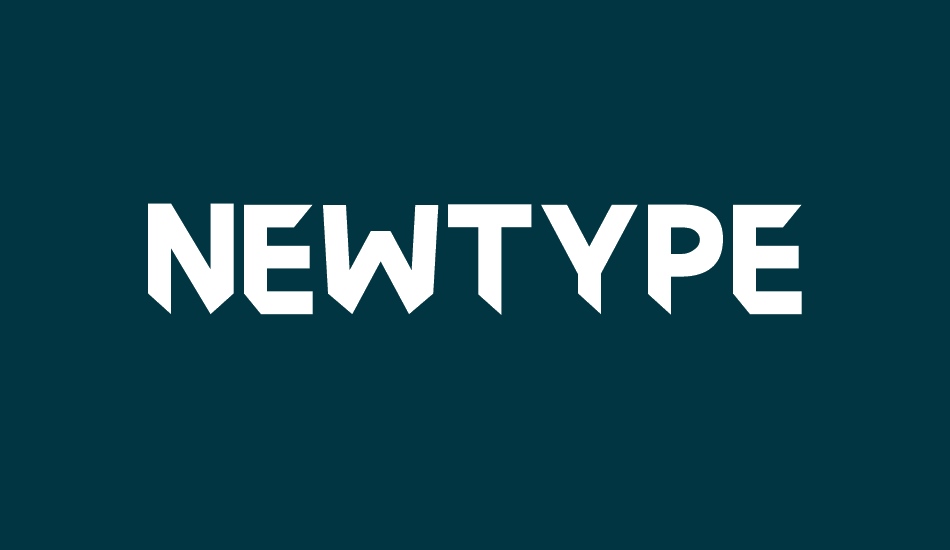 Newtype font big