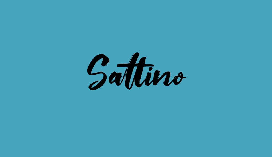 saltino font big