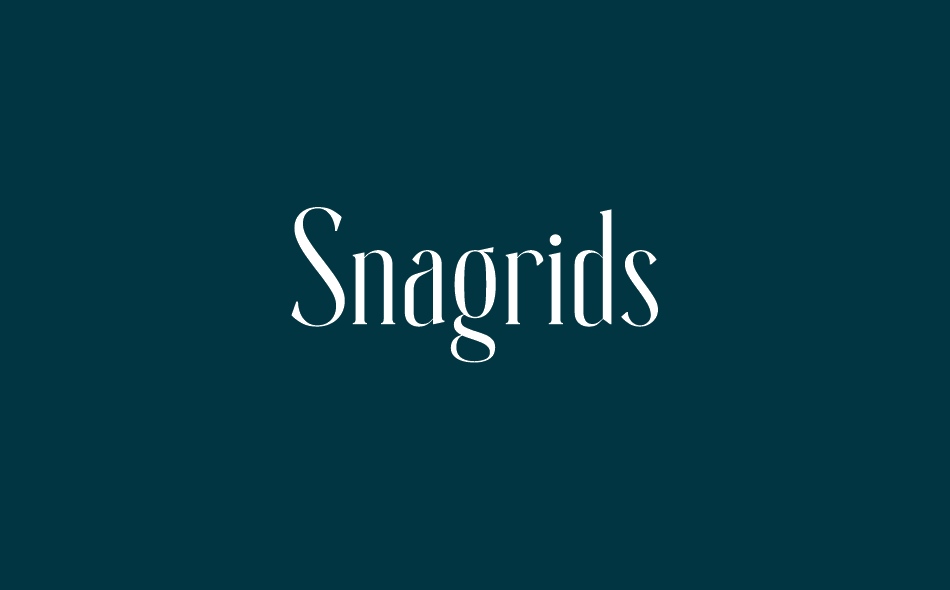 Snagrids font big