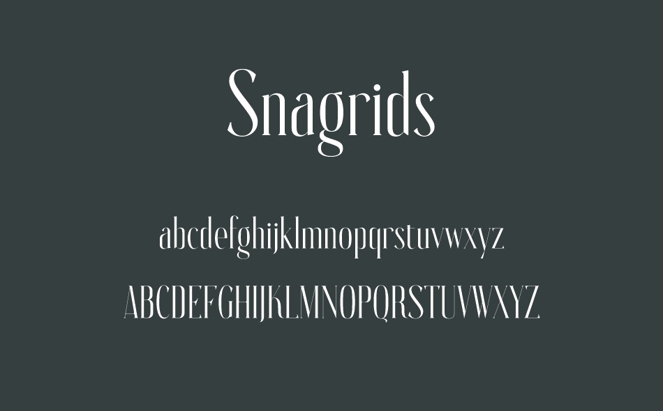 Snagrids font