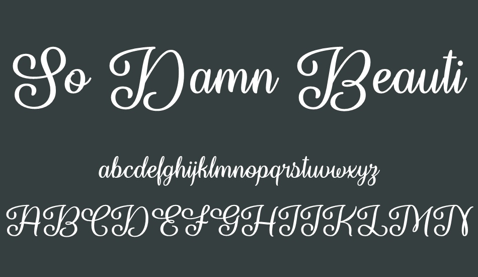 so-damn-beautiful font