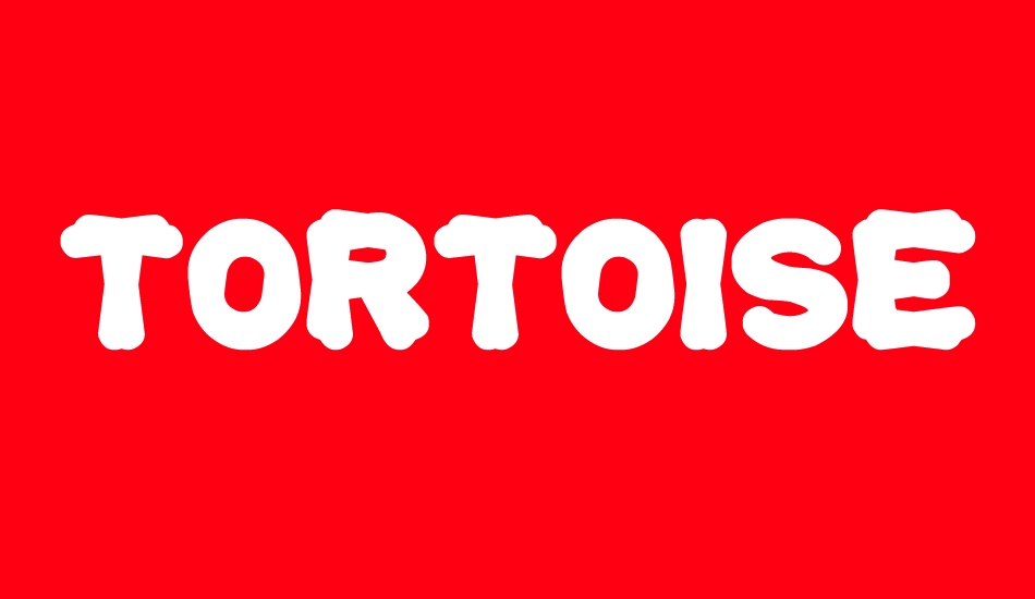 tortoise font big