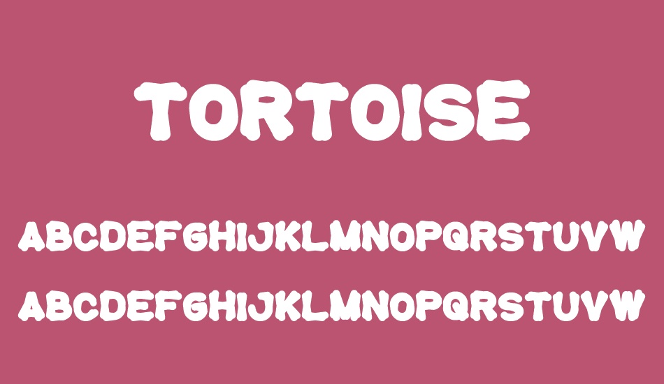 tortoise font