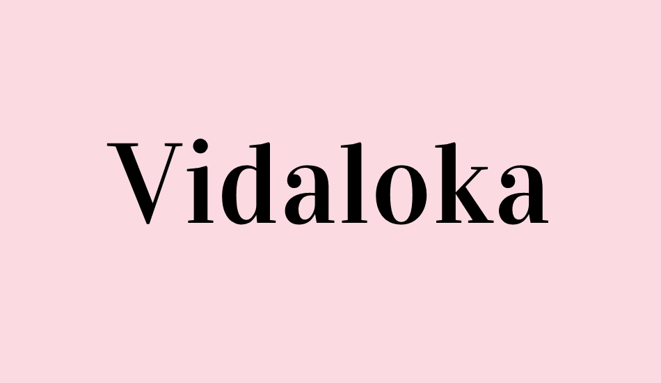 vidaloka- font big