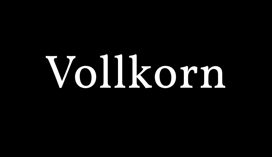 vollkorn font big