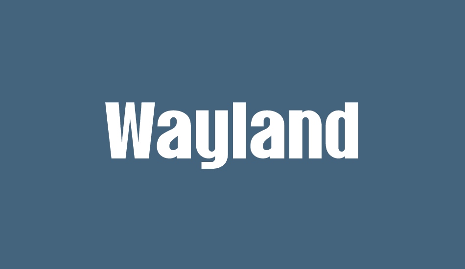 wayland-demo font big