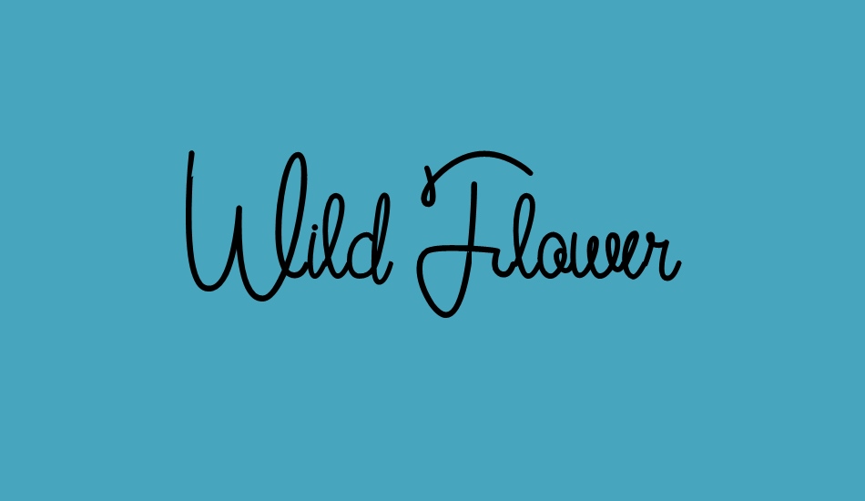 wild-flower font big