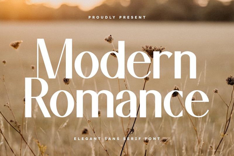Modern Romance