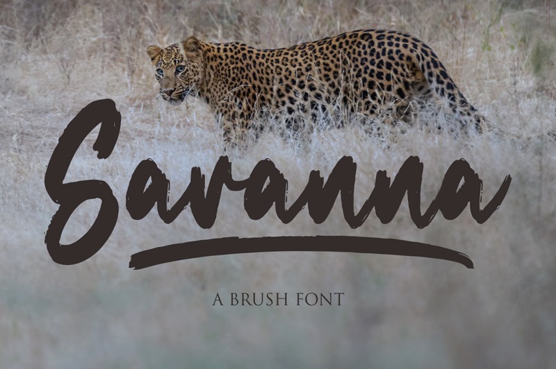 Savanna