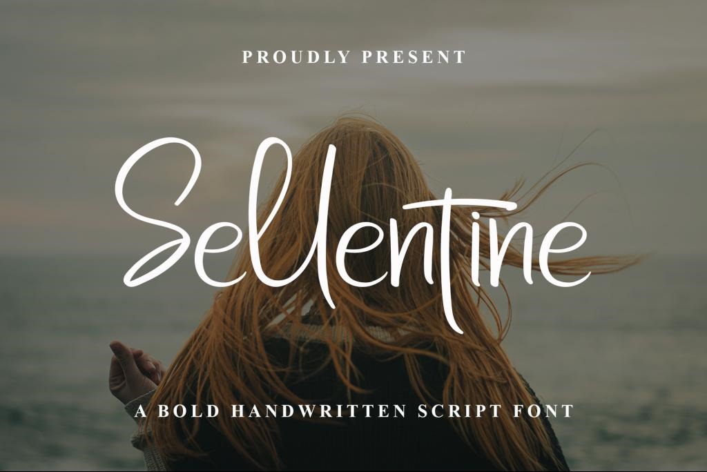 Sellentine Demo